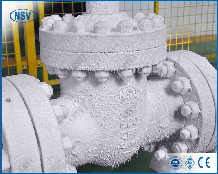 Stainless Steel Cryogenic Gate Valve suppliers